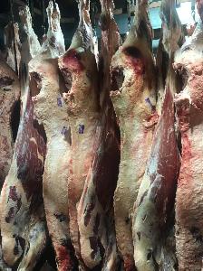 Мясо в Магадане говядина туша.jpg
